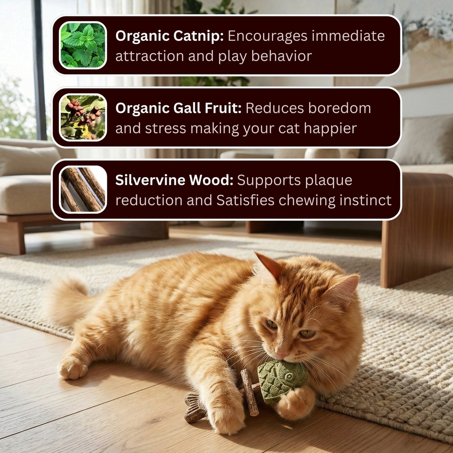 Catnip & Silvervine Chew🐾(Buy 1 Get 1 Free)
