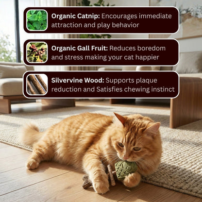 Catnip & Silvervine Chew🐾(Buy 1 Get 1 Free)